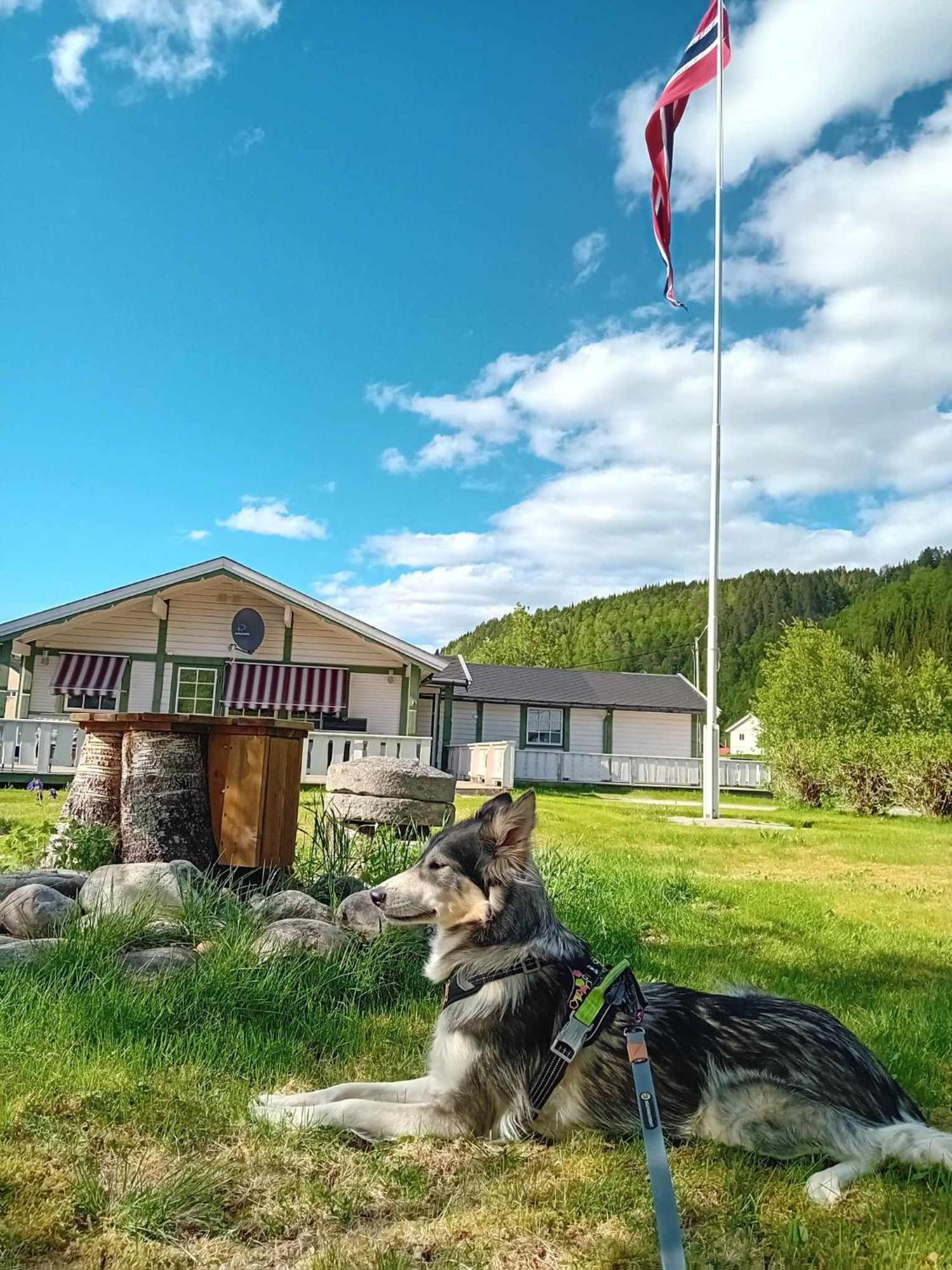 Nordnes Kro Og Camping Rokland Eksteriør billede